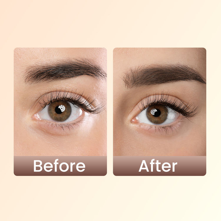 Swiss Beauty Brow Definer Pencil ( 01 Chestnut)
