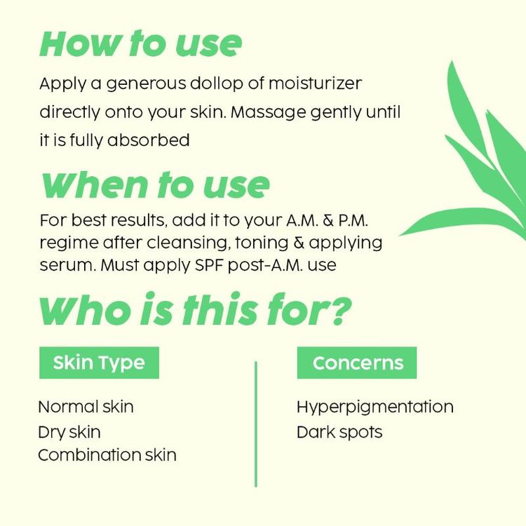 Plix 2% Alpha Arbutin Pineapple Moisturizer With SymWhite PLUS For Hyperpigmentation & Dark Spots
(30g)