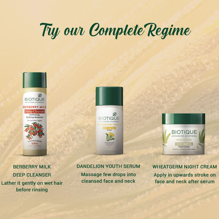 Biotique Wheatgerm Anti-Ageing Night Cream (50gm)