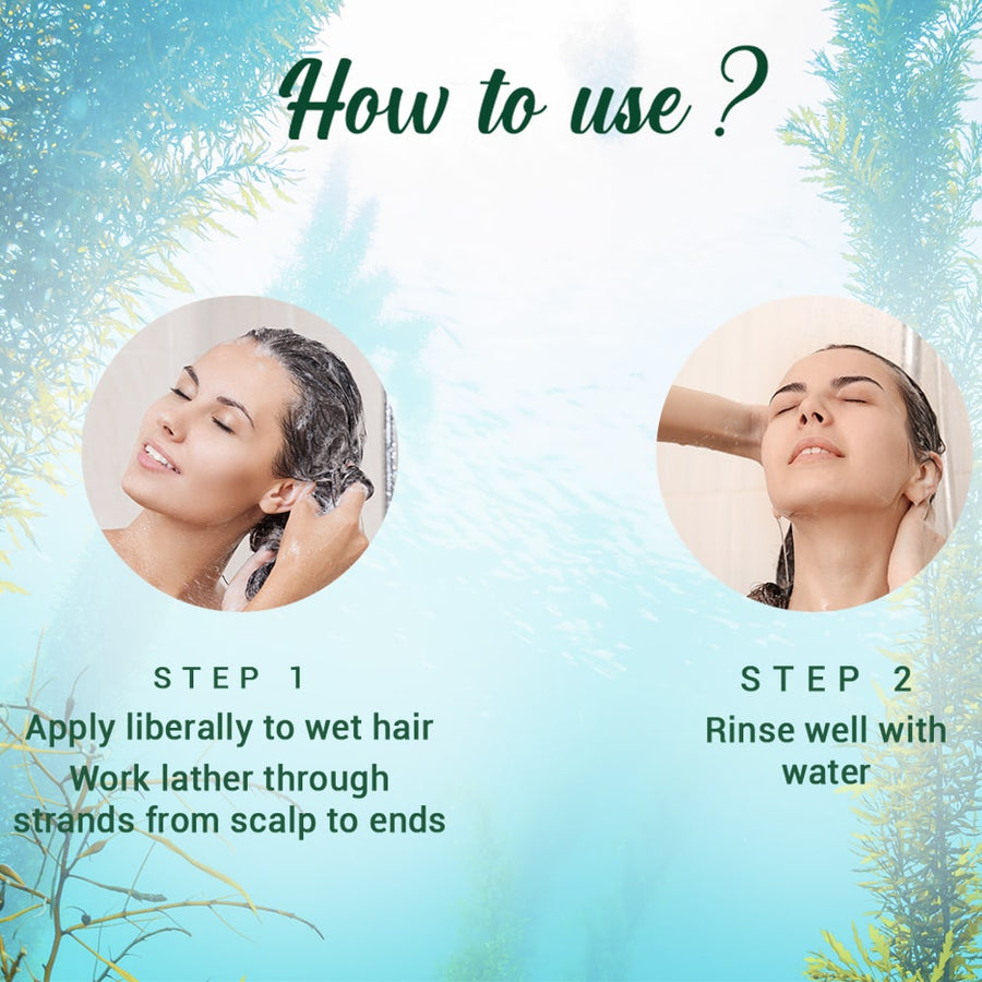 Biotique Ocean kelp anti hair fall shampoo / 340ml
