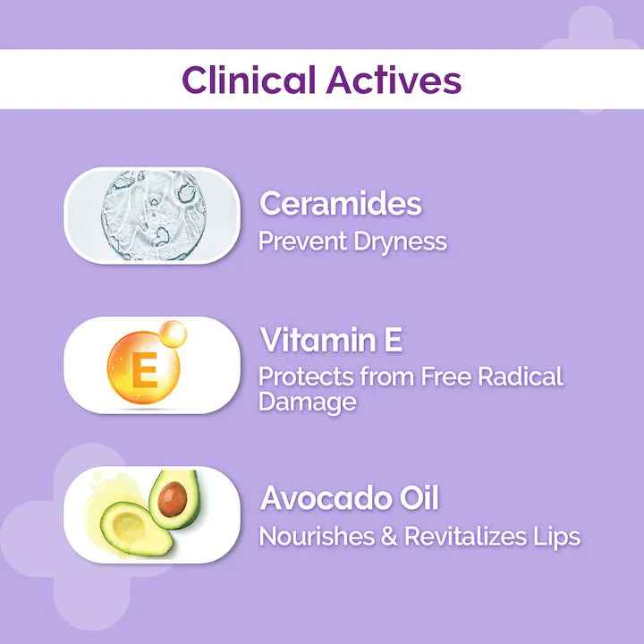 The Derma Co 1% Ceramide Complex Lip Balm with Ceramides & Vitamin E, SPF 30 PA++ for Dry & Chapped Lips - 4g