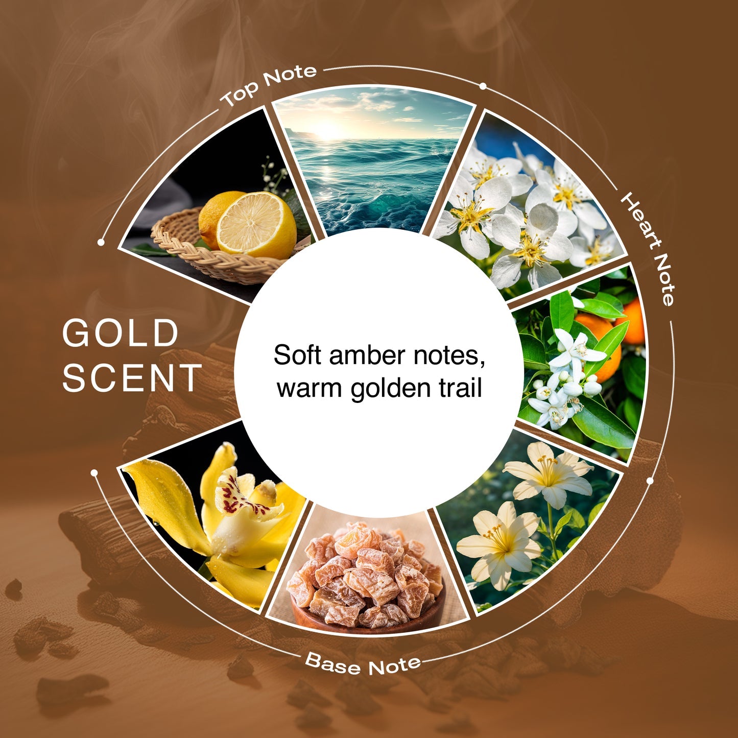 Next Gold Scent – A Fresh, Bright & Smooth Unisex Fragrance for Everyday Confidence