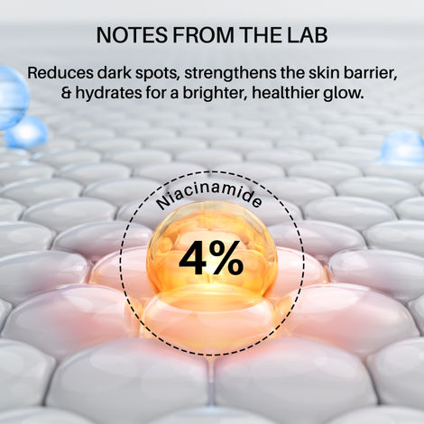 DERMDOC 4% Niacinamide Day Cream (50 gm)