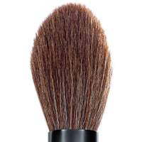 Insight professional Powder Brush IP 855