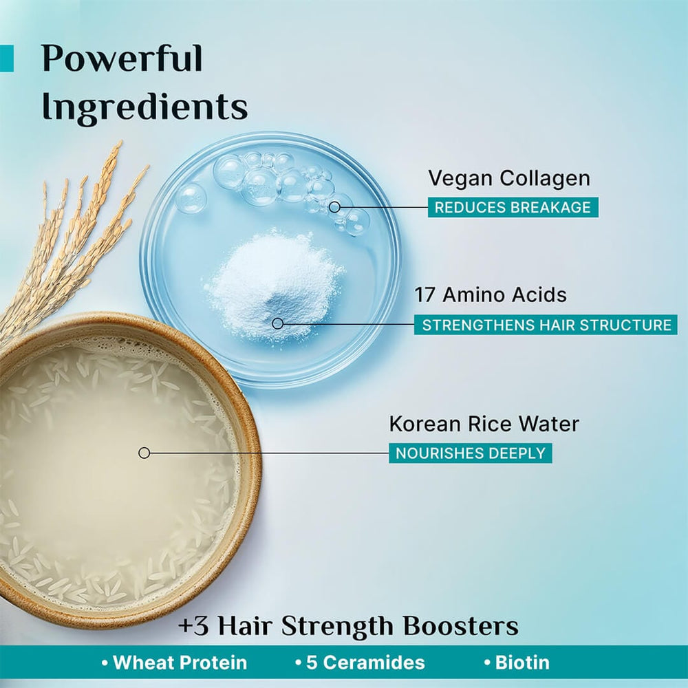 Pilgrim Korean Rice Water & Collagen Advanced Damage Repair Shampoo (400ml) 
Repair, Strengthen & Soften