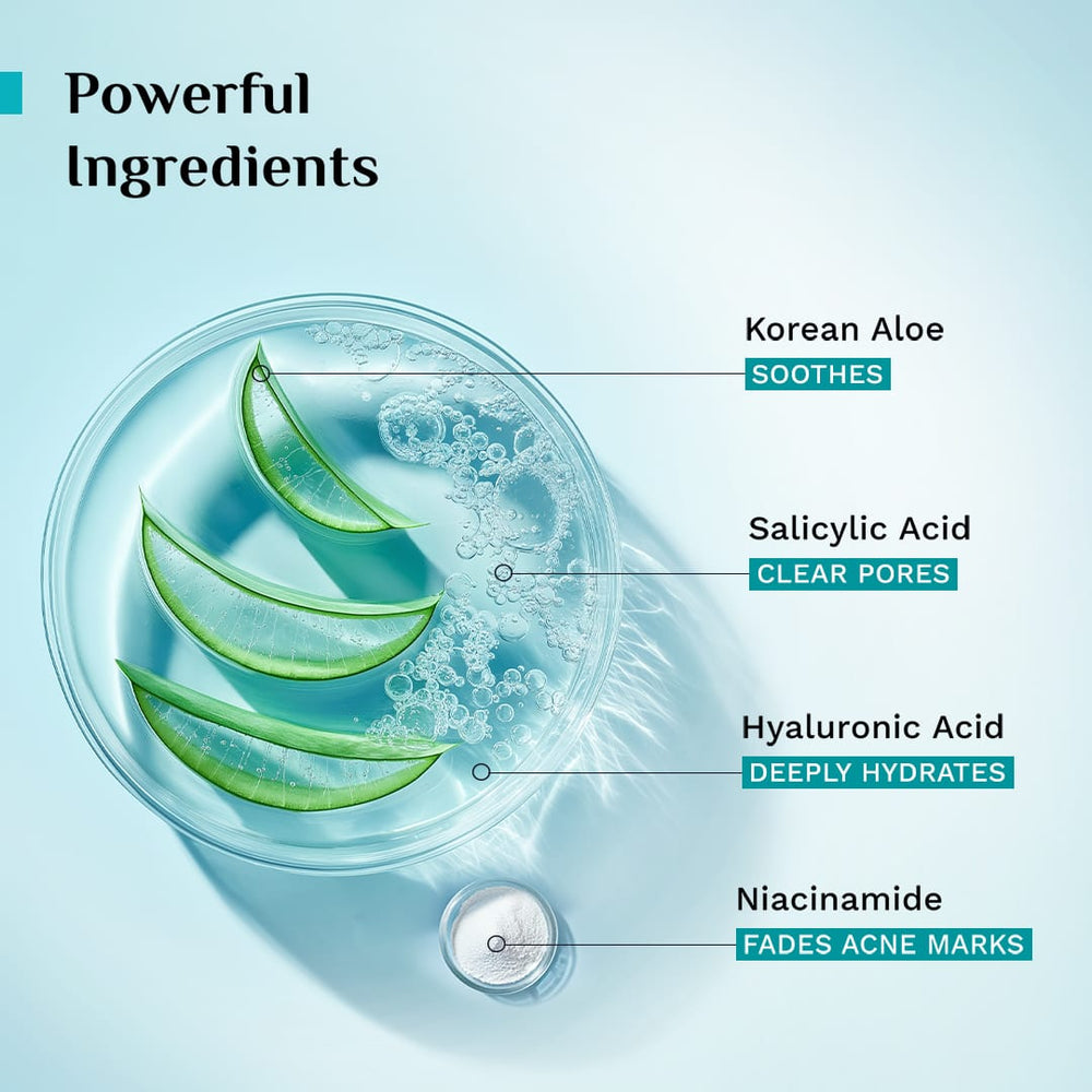 Pilgrim Korean Aloe Anti-Acne Gel Facewash / 150ml
