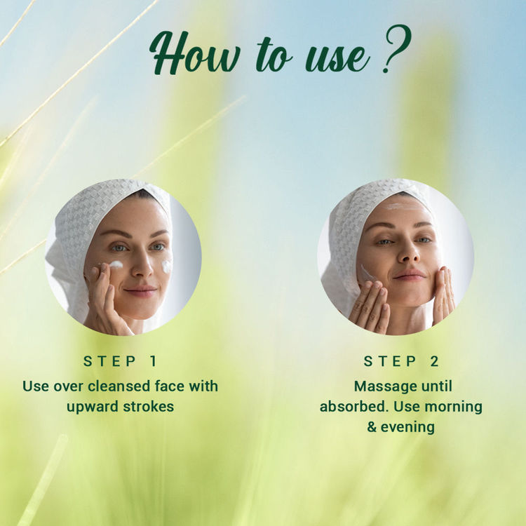 Biotique Wheatgerm Anti-Ageing Night Cream (50gm)