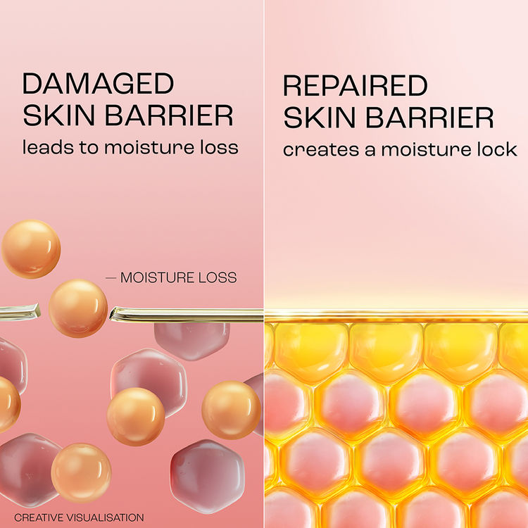 Lakmé Peach Moisturiser with SPF 30 & Ceramide, UV Defense & Barrier Repair, All Skin Types
(200ml)