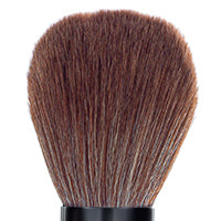 Insight professional Powder Brush IP 879