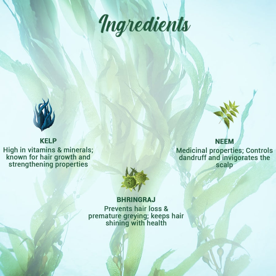 Biotique Ocean kelp anti hair fall shampoo / 340ml