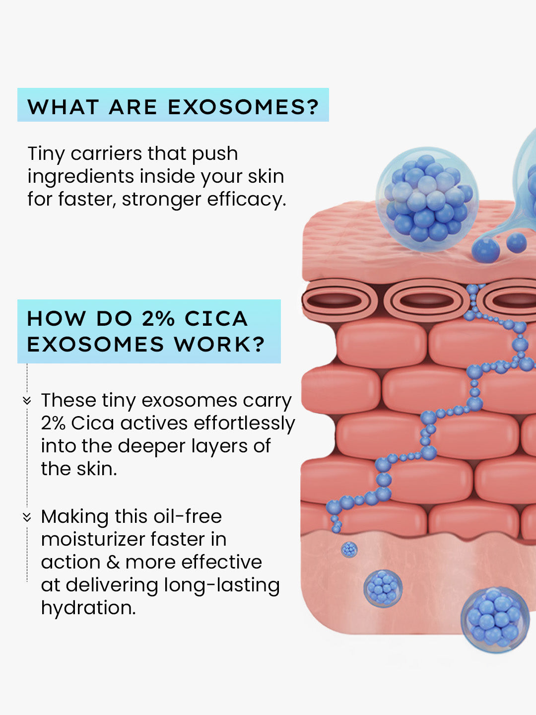 Hyphen 2% cica exosomes oil-free moisturizer - 50ml