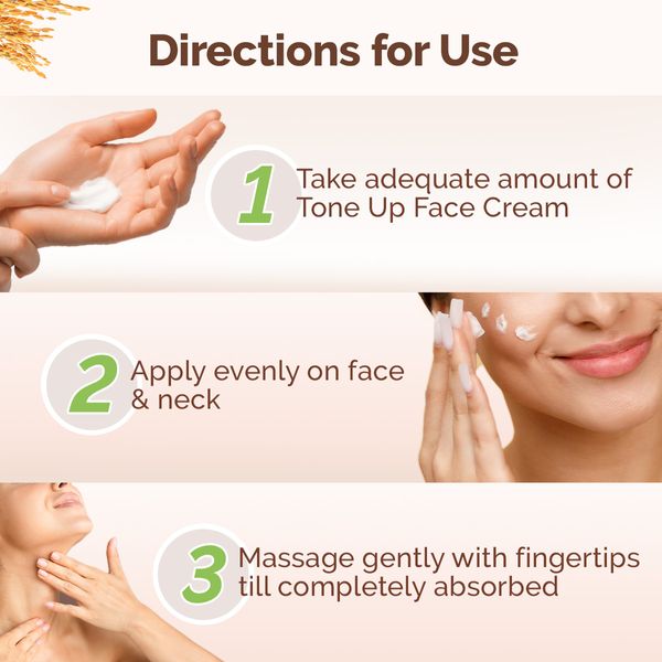 Mamaearth Rice Water Tone Up Face Cream with Rice Water & Niacinamide for Glass Skin - 50g