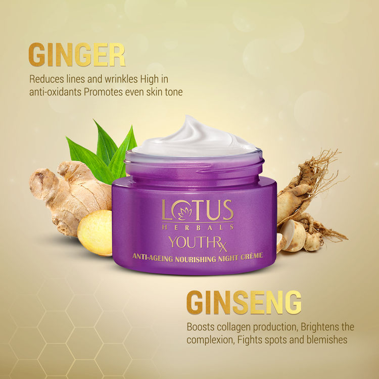 Lotus Herbals YouthRx Anti-Ageing Nourishing Night Face Cream,Reduces Fine Lines For All Skin Types (50gm)