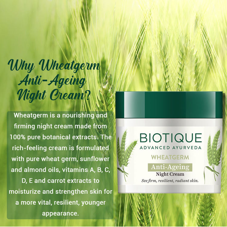 Biotique Wheatgerm Anti-Ageing Night Cream (50gm)