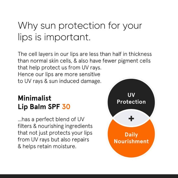 Minimalist SPF 30 Lip Balm
(8 g)