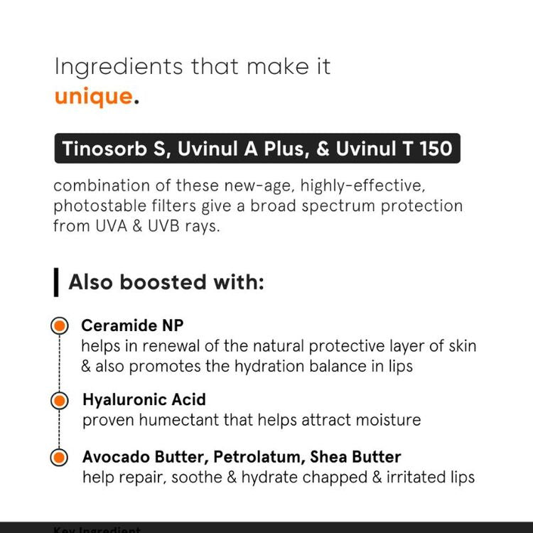 Minimalist SPF 30 Lip Balm
(8 g)