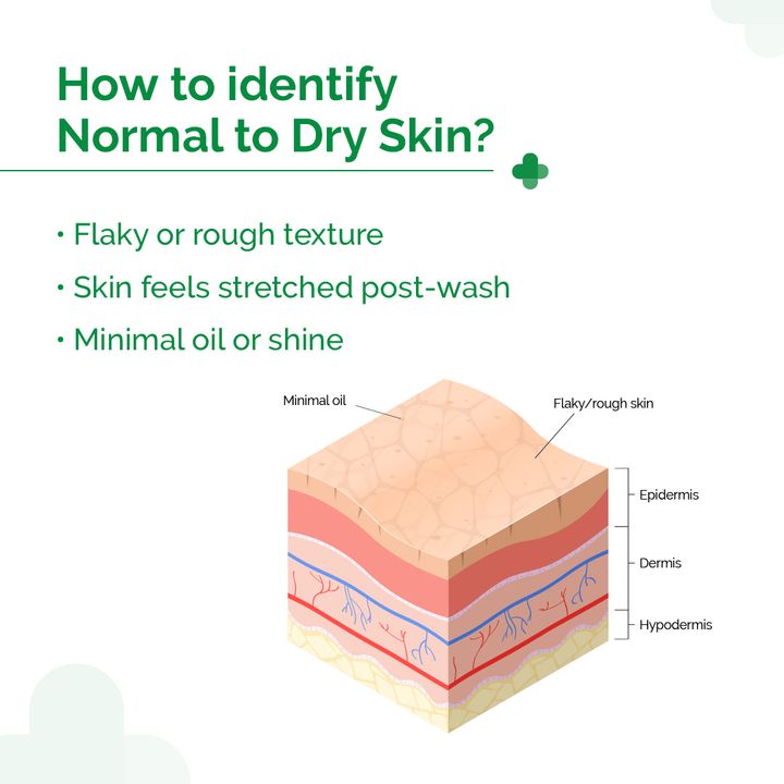 The derma co 5% Nia-Ceramide Daily Hydrating Moisturizer with 5% Niacinamide & 2% Ceramide - 100g