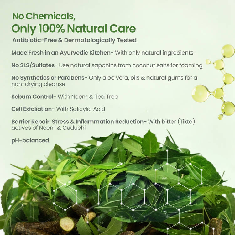 Nat Habit Anti-Acne Neem Berbamyrisin Tikta Face Wash (100 g)