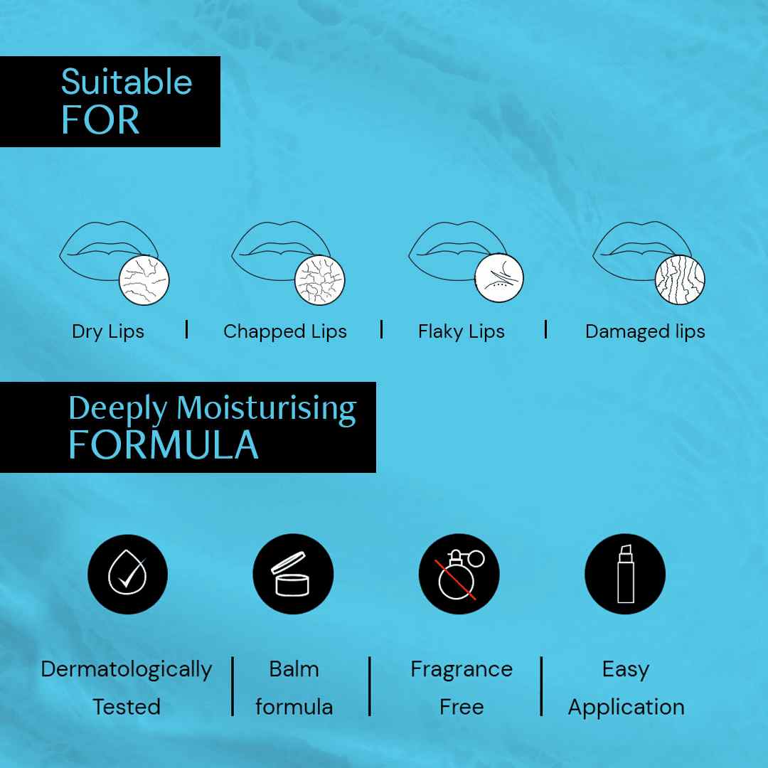Deconstruct Hyaluronic Acid Lip Balm- 0.2% Hyaluronic Acid + 1% Cupuacu Butter | Overnight Lip Balm