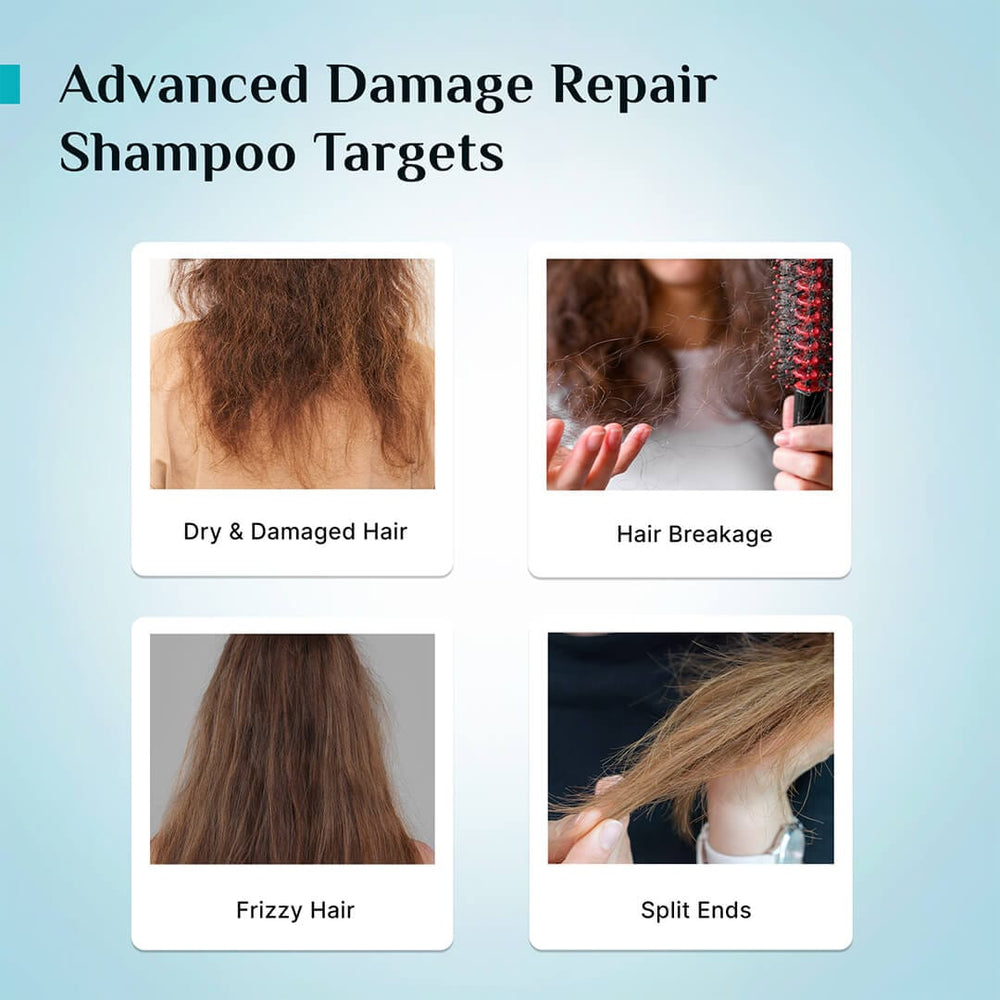 Pilgrim Korean Rice Water & Collagen Advanced Damage Repair Shampoo (200ml) 
Repair, Strengthen & Soften
