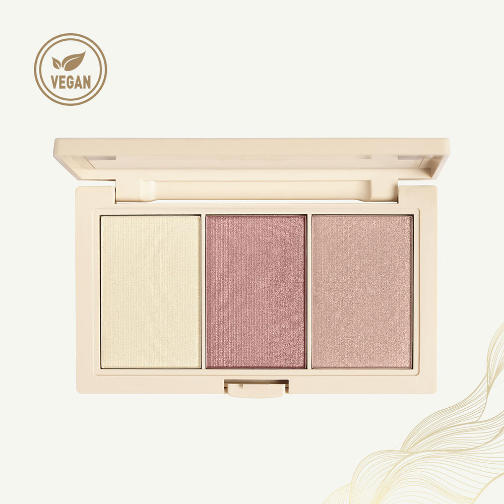 Insight professional Face Glow Highlighter Palette
