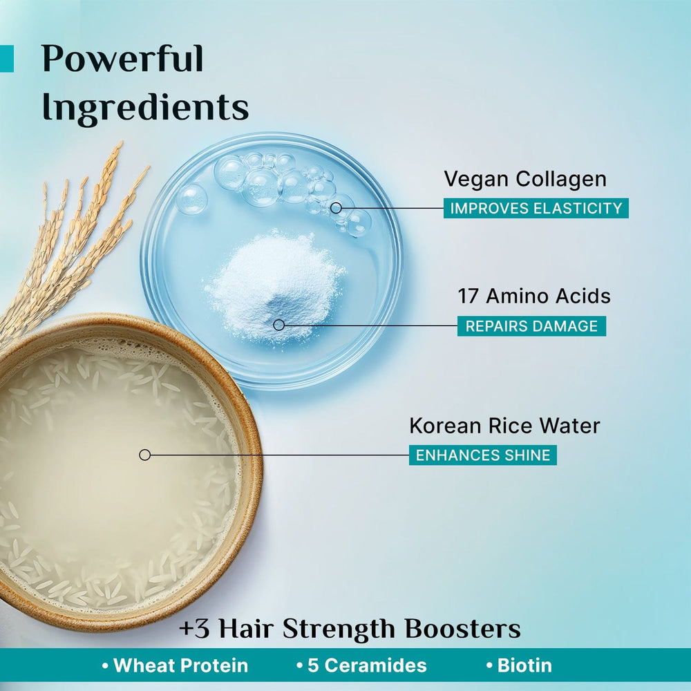 Pilgrim Korean Rice Water & Collagen Advanced Damage Repair Hair Mask
Deep Repair, Intense Hydration